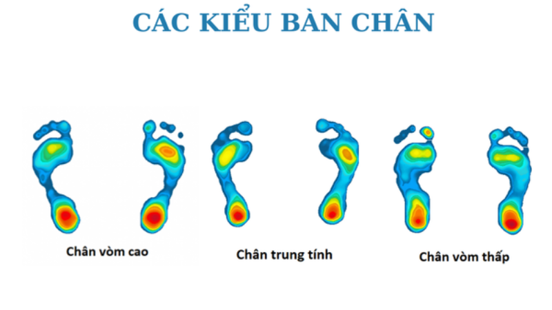 Vòm Bàn Chân Cao Thấp Và Vận Mệnh: Giải Mã Chi Tiết 3 Ý nghĩa y học và khoa học hiện đại về hình dáng vòm bàn chân