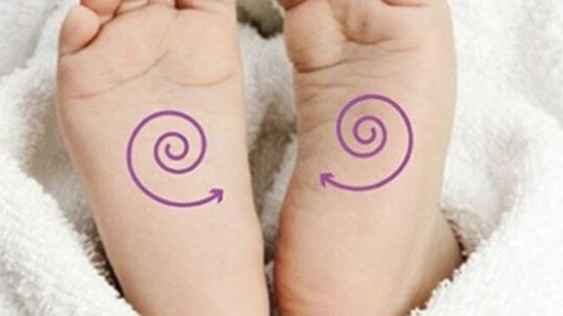 Đường chỉ chân nói gì về cuộc đời: Góc nhìn tổng quan và trải nghiệm thực tế