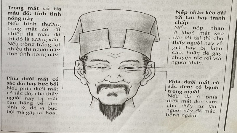 Các yếu tố ảnh hưởng đến tướng mắt và sự liên hệ với vận mệnh