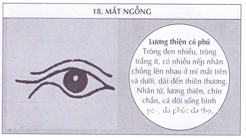 Tướng mắt và ảnh hưởng đến các khía cạnh cuộc sống