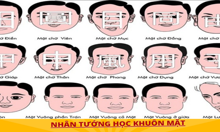 Ứng dụng và tranh cãi về mối liên hệ giữa nhân tướng học, thần kinh học