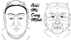 Phân tích tướng khuôn mặt: Khai mở tiềm năng nghề nghiệp