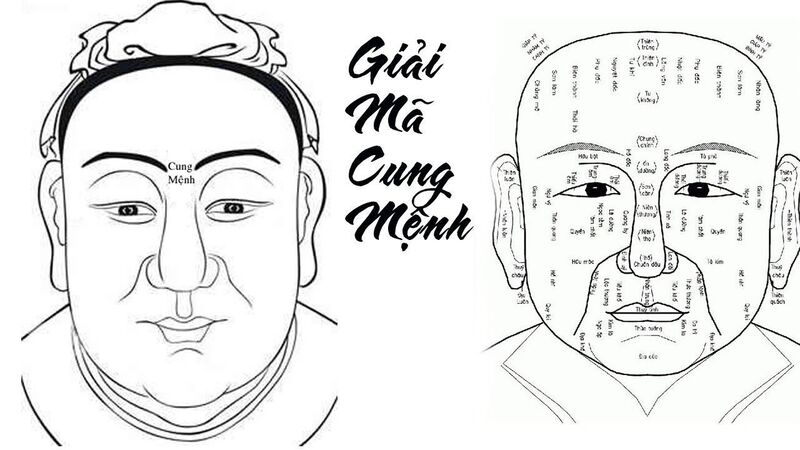 Phân tích tướng khuôn mặt: Khai mở tiềm năng nghề nghiệp