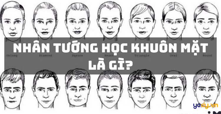 Mối liên hệ giữa tướng mặt và nghề nghiệp: Niềm tin, thực tế và góc nhìn hiện đại