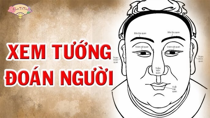 Ứng dụng: Tính “quyết định” và “linh hoạt” trong đời sống
