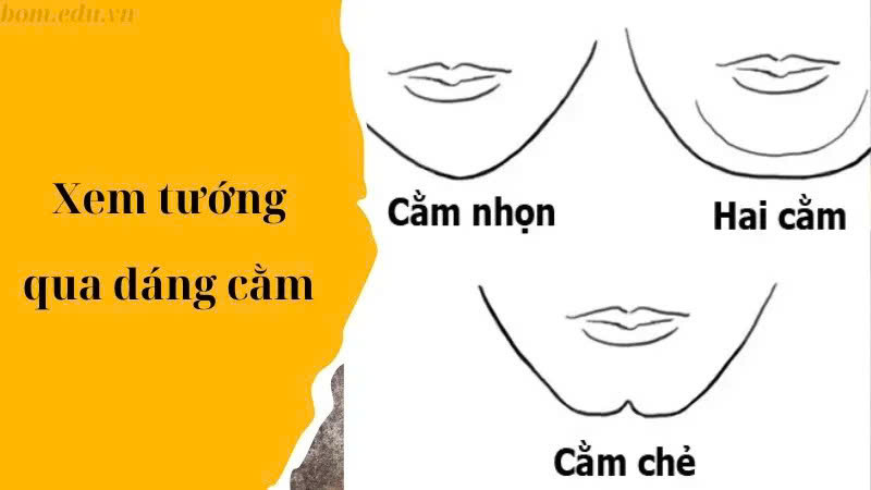Tướng Cằm Và Đường Viền Hàm (Jawline) - Ý Chí Và Hậu Vận 3 Các yếu tố ảnh hưởng đến tướng cằm – hàm và cách cải thiện vận số