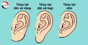 Tướng tai (mimi) là gì? Ý nghĩa trong nhân tướng học