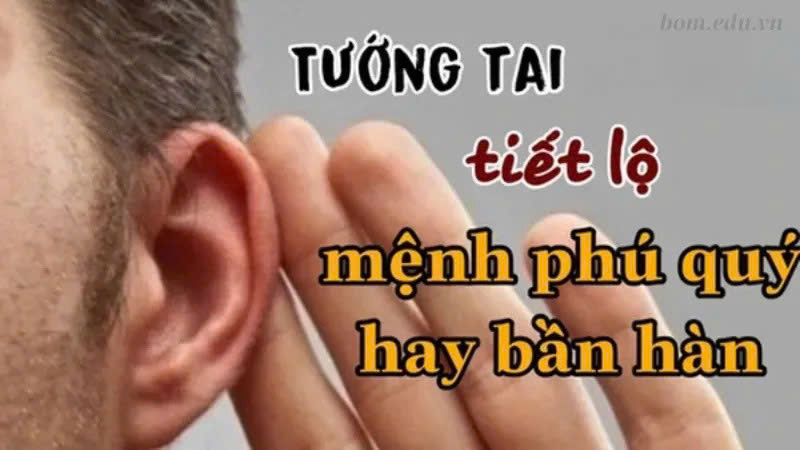 Nhận biết tướng tai trường thọ và bí quyết dưỡng sinh từ nhân tướng học